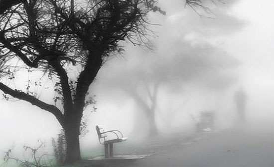 صورة المقالة