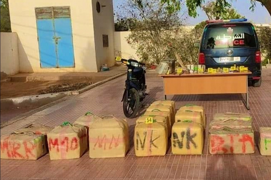 صورة المقالة