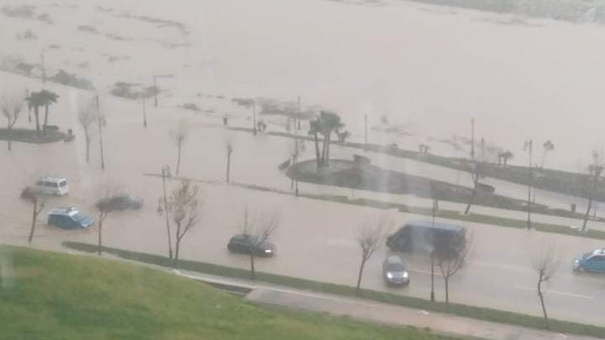 صورة المقالة