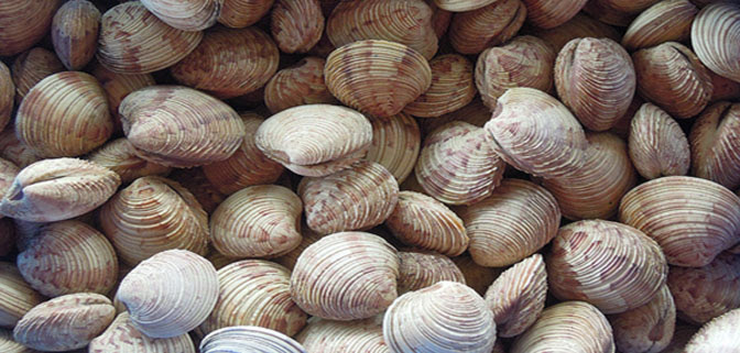 صورة المقالة