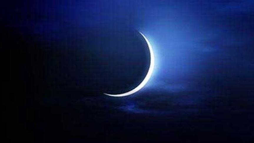 صورة المقالة