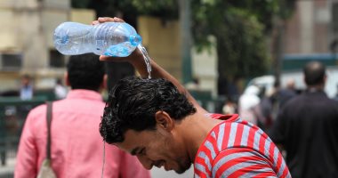 صورة المقالة