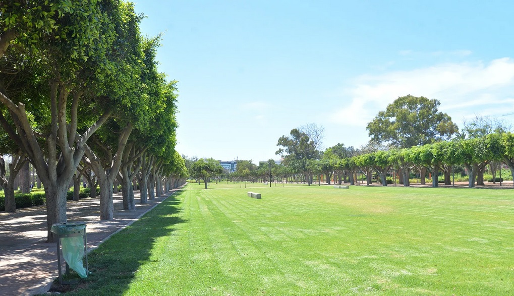 صورة المقالة