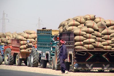 صورة المقالة