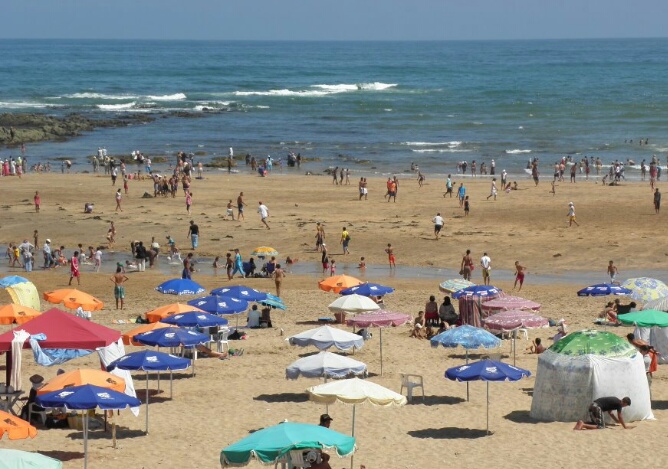 صورة المقالة