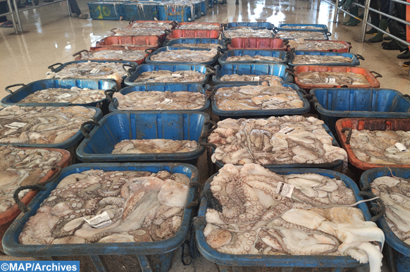 صورة المقالة