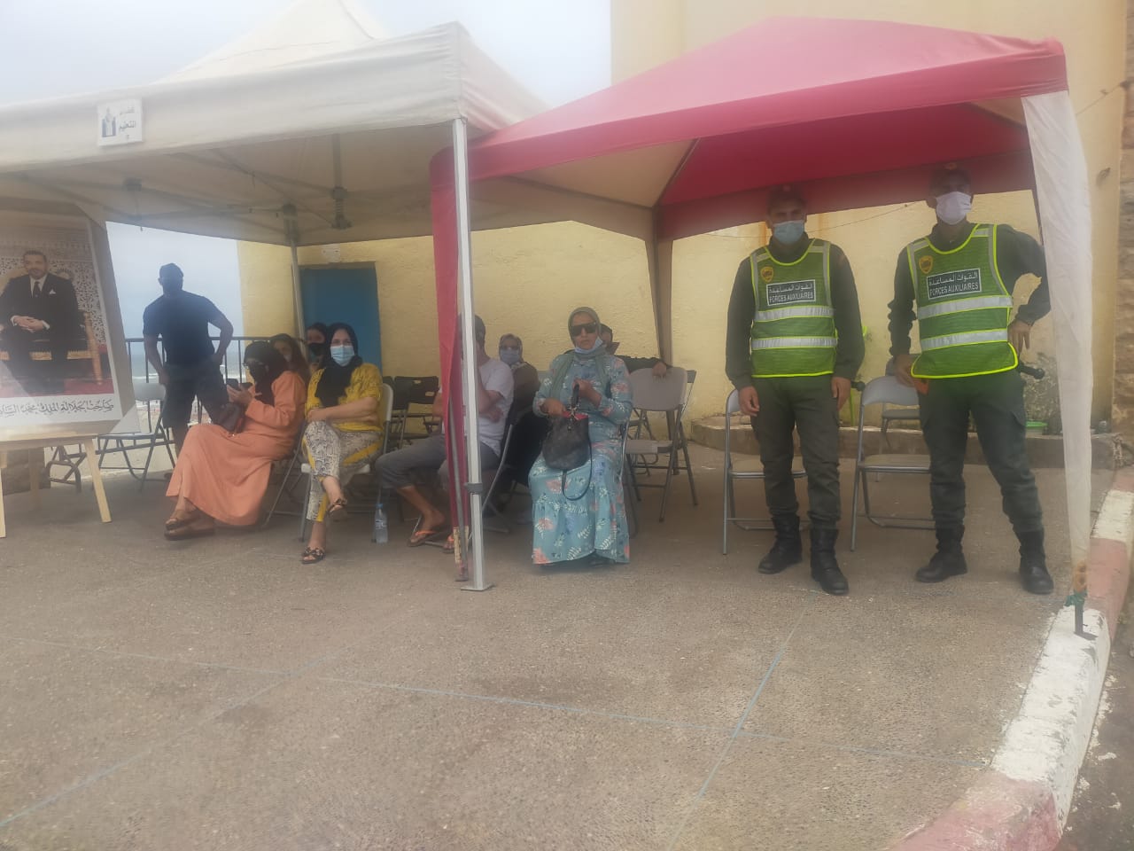 صورة المقالة