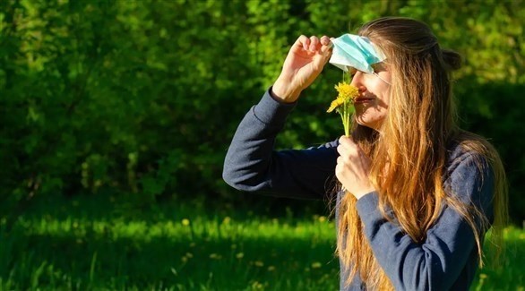 صورة المقالة