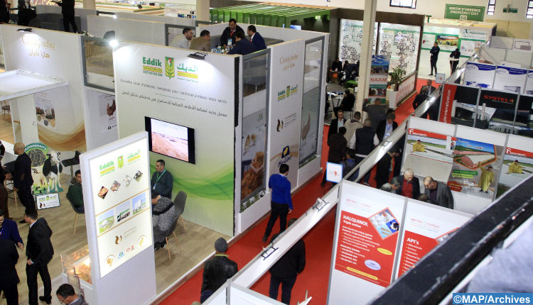 صورة المقالة