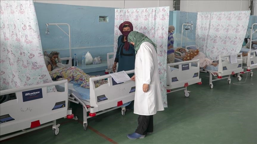 صورة المقالة