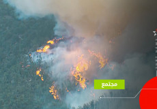 صورة المقالة