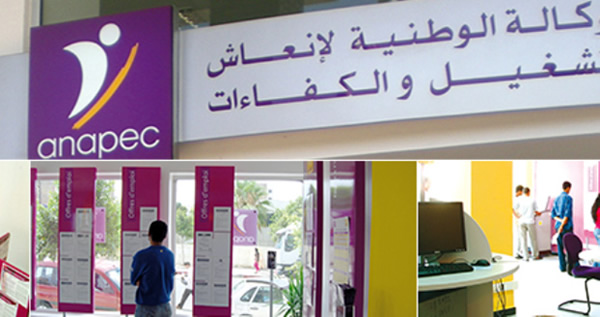 صورة المقالة