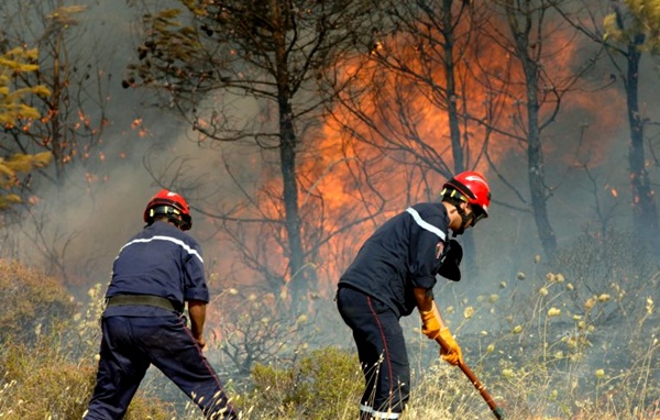 صورة المقالة