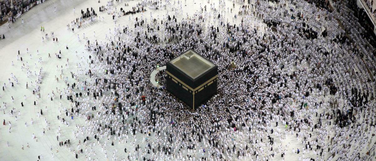 صورة المقالة