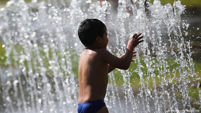 صورة المقالة