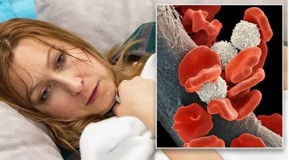 صورة المقالة