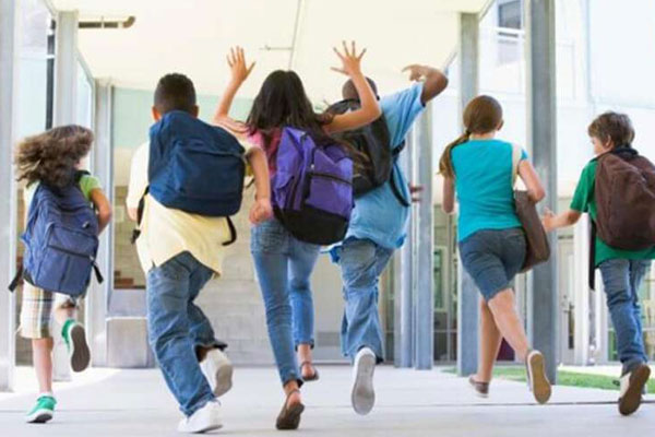 صورة المقالة