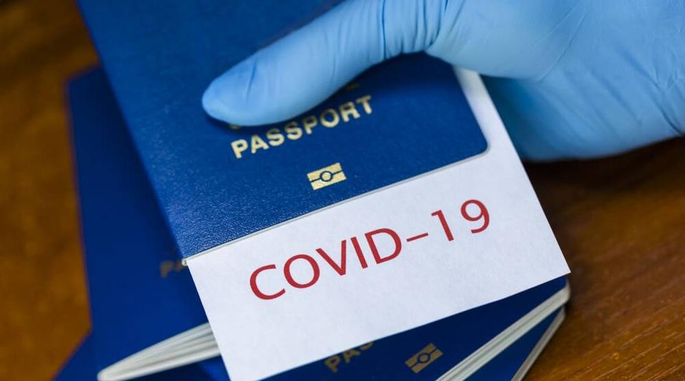 صورة المقالة