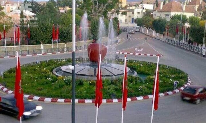 صورة المقالة
