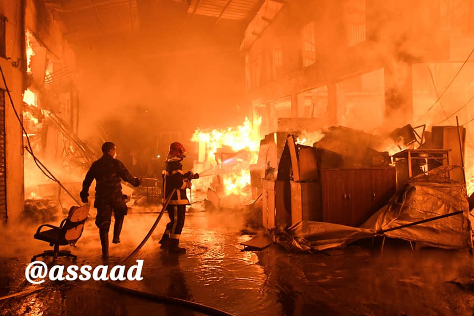 صورة المقالة