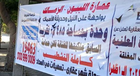صورة المقالة