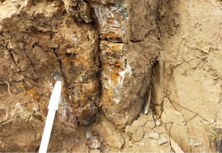 صورة المقالة