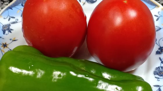 الأونسا يكشف حقيقة ظهور مرض نباتي خاص بالطماطم والفلفل