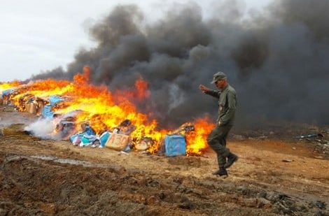 صورة المقالة