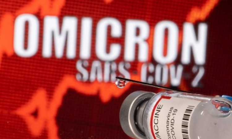 صورة المقالة