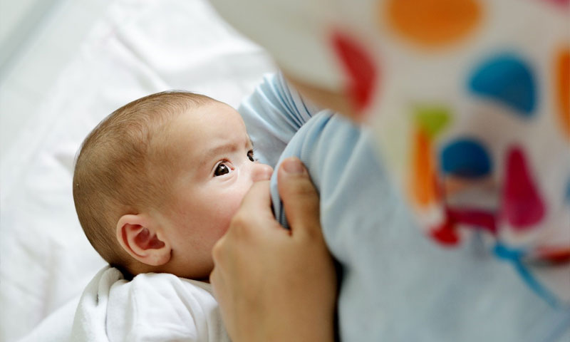 صورة المقالة