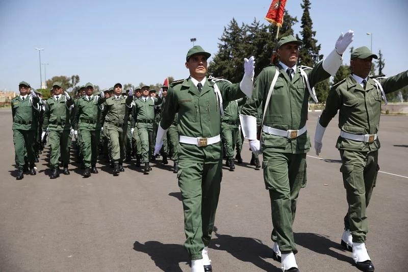 صورة المقالة