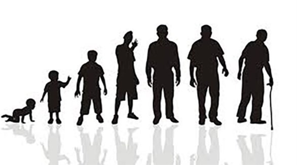 صورة المقالة