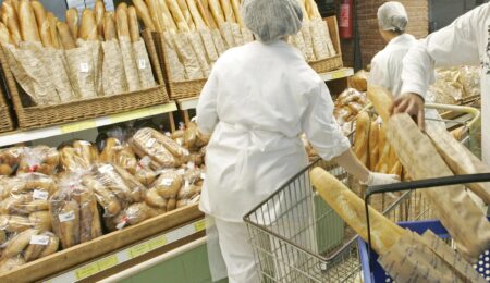 صورة المقالة