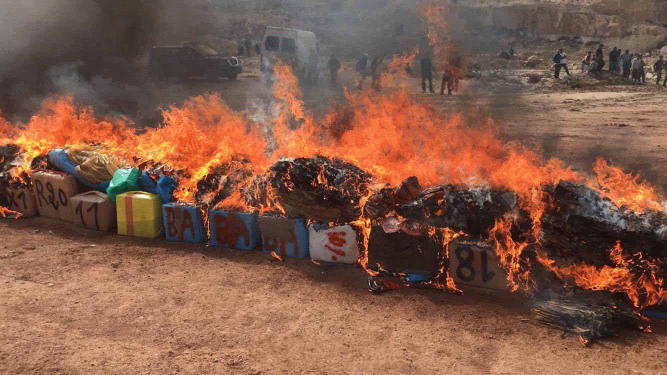 صورة المقالة