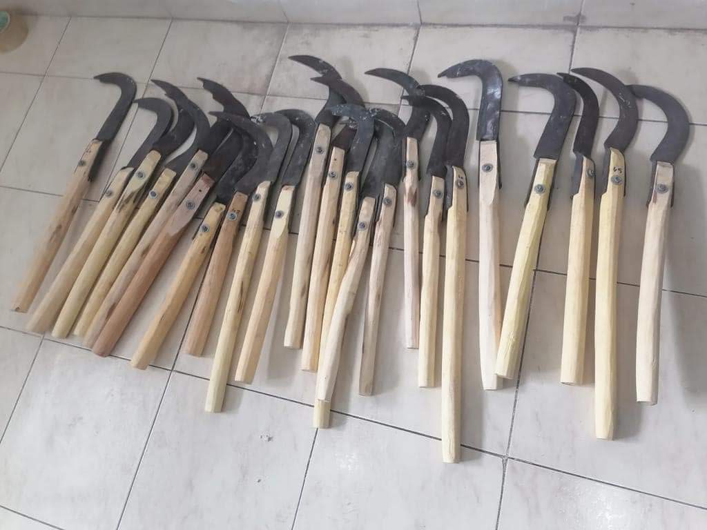 حجز 23 ساطورا كانت في طريقها إلى الحرم الجامعي بأكادير