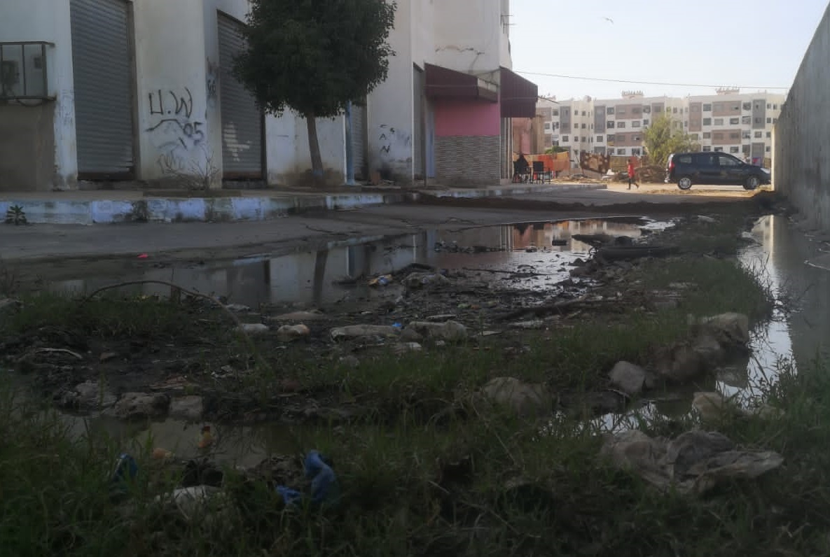 صورة المقالة