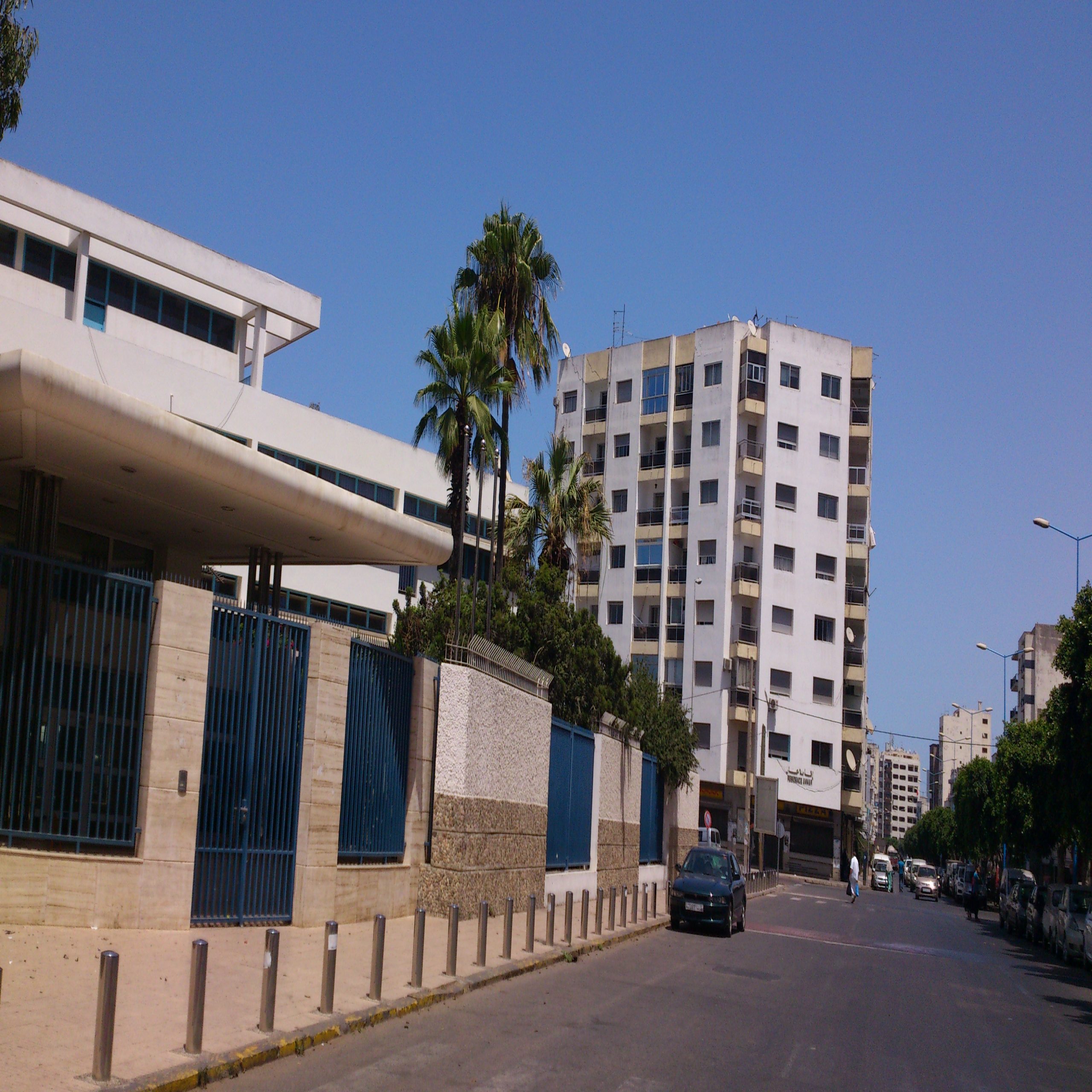 صورة المقالة