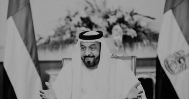 صورة المقالة