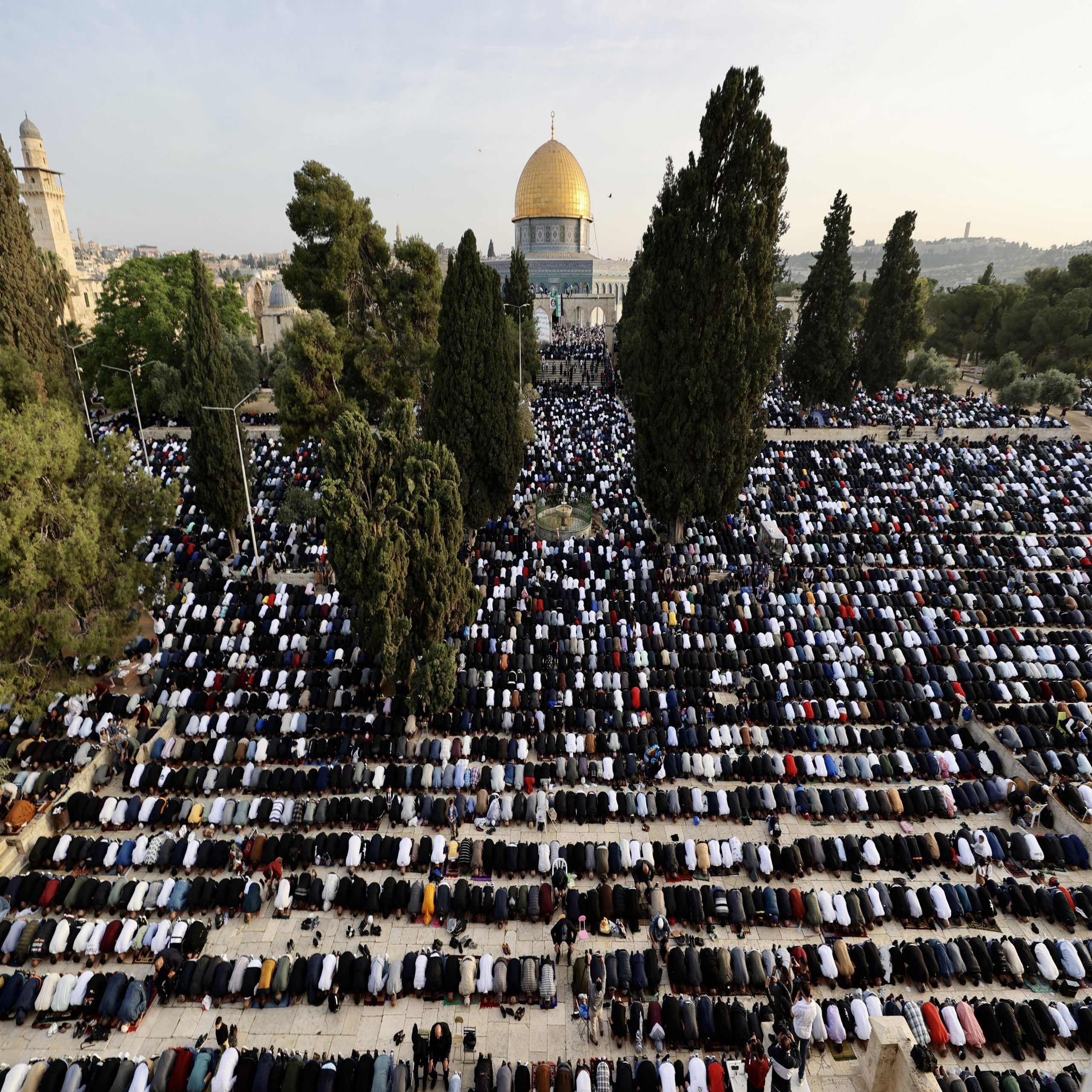 صورة المقالة