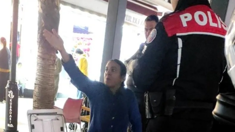 صورة المقالة