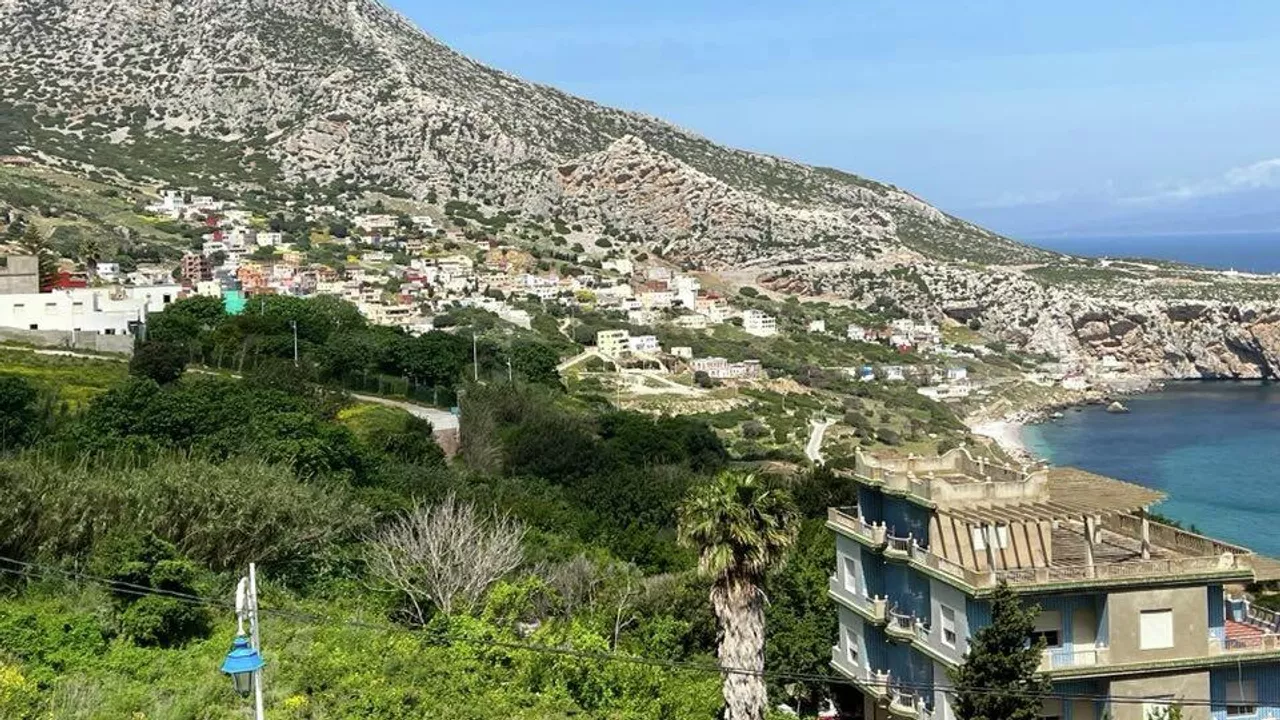 صورة المقالة