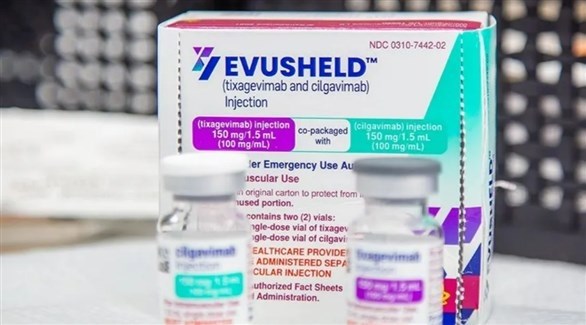 صورة المقالة