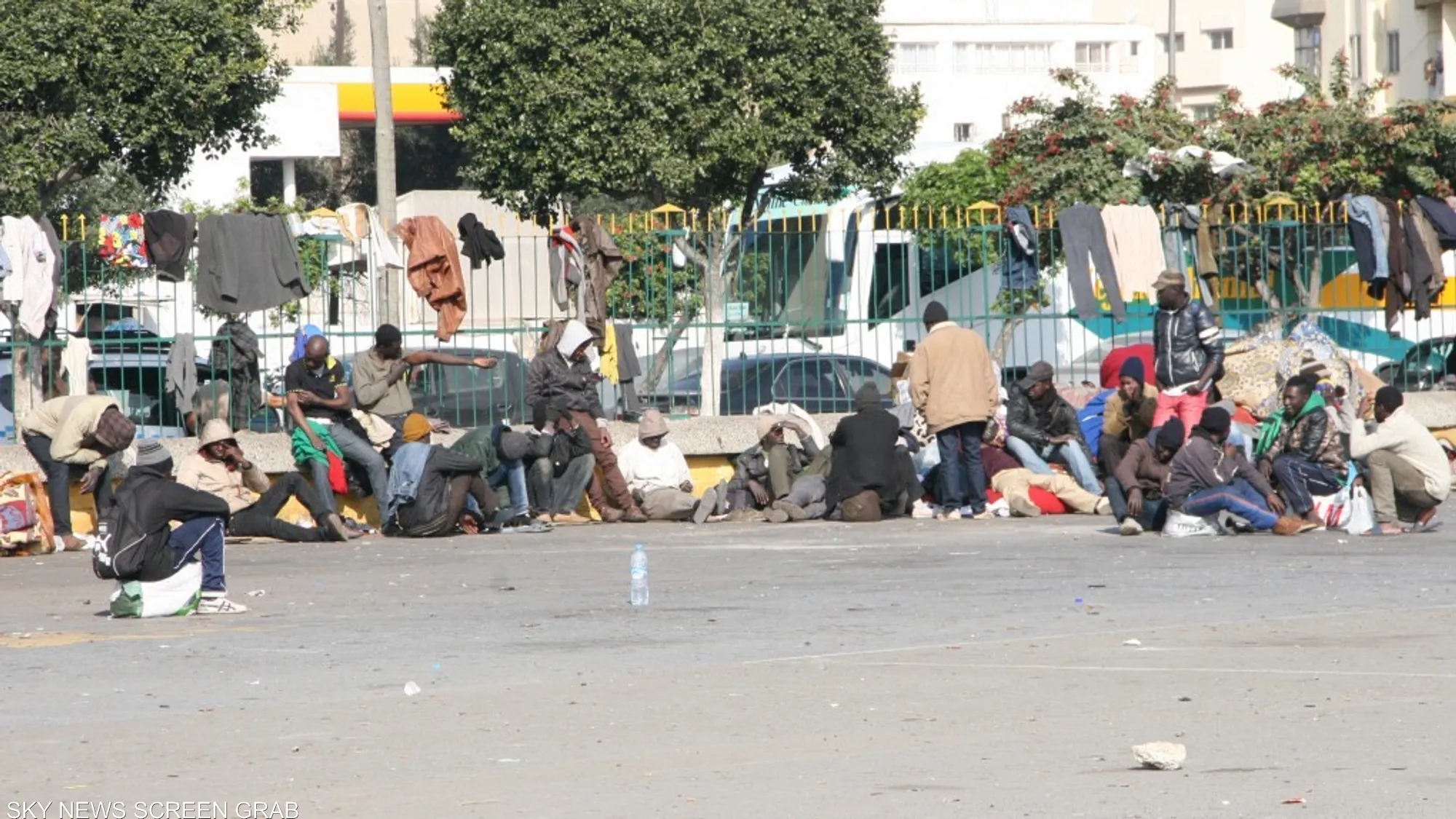 صورة المقالة