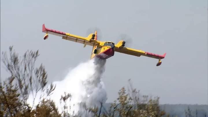 صورة المقالة