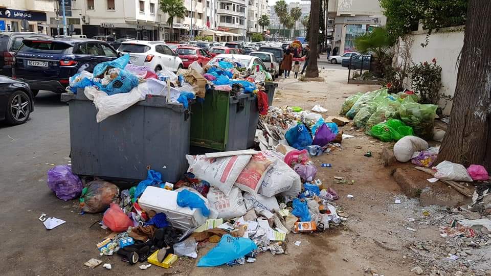 صورة المقالة