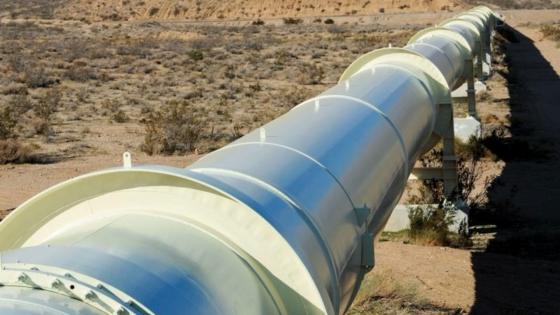 صورة المقالة