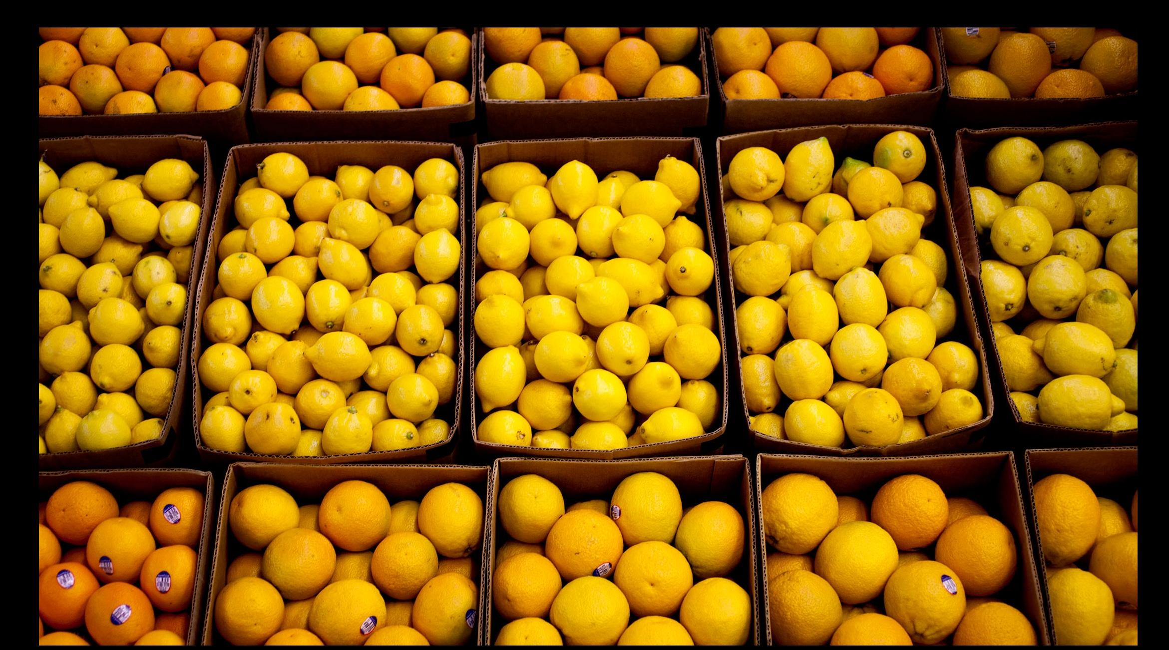 صورة المقالة