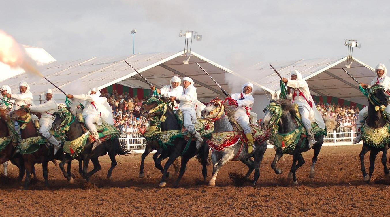 صورة المقالة