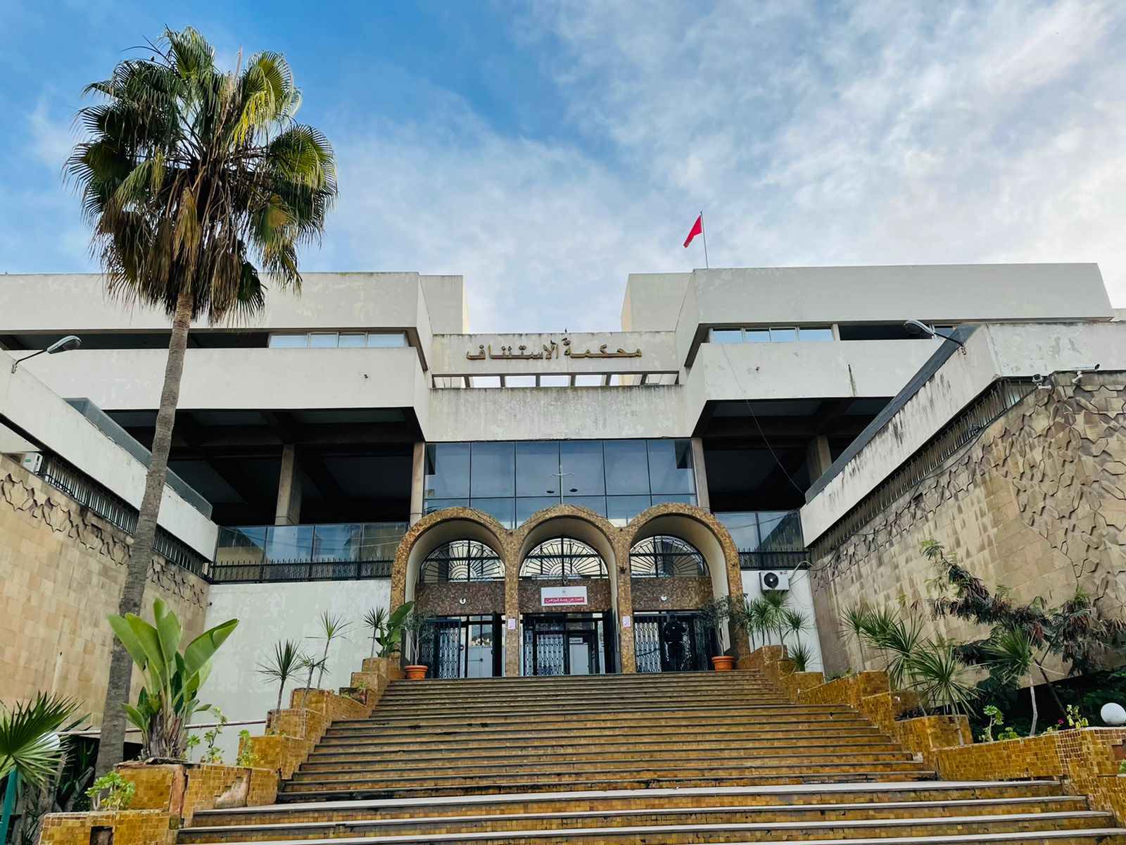 صورة المقالة