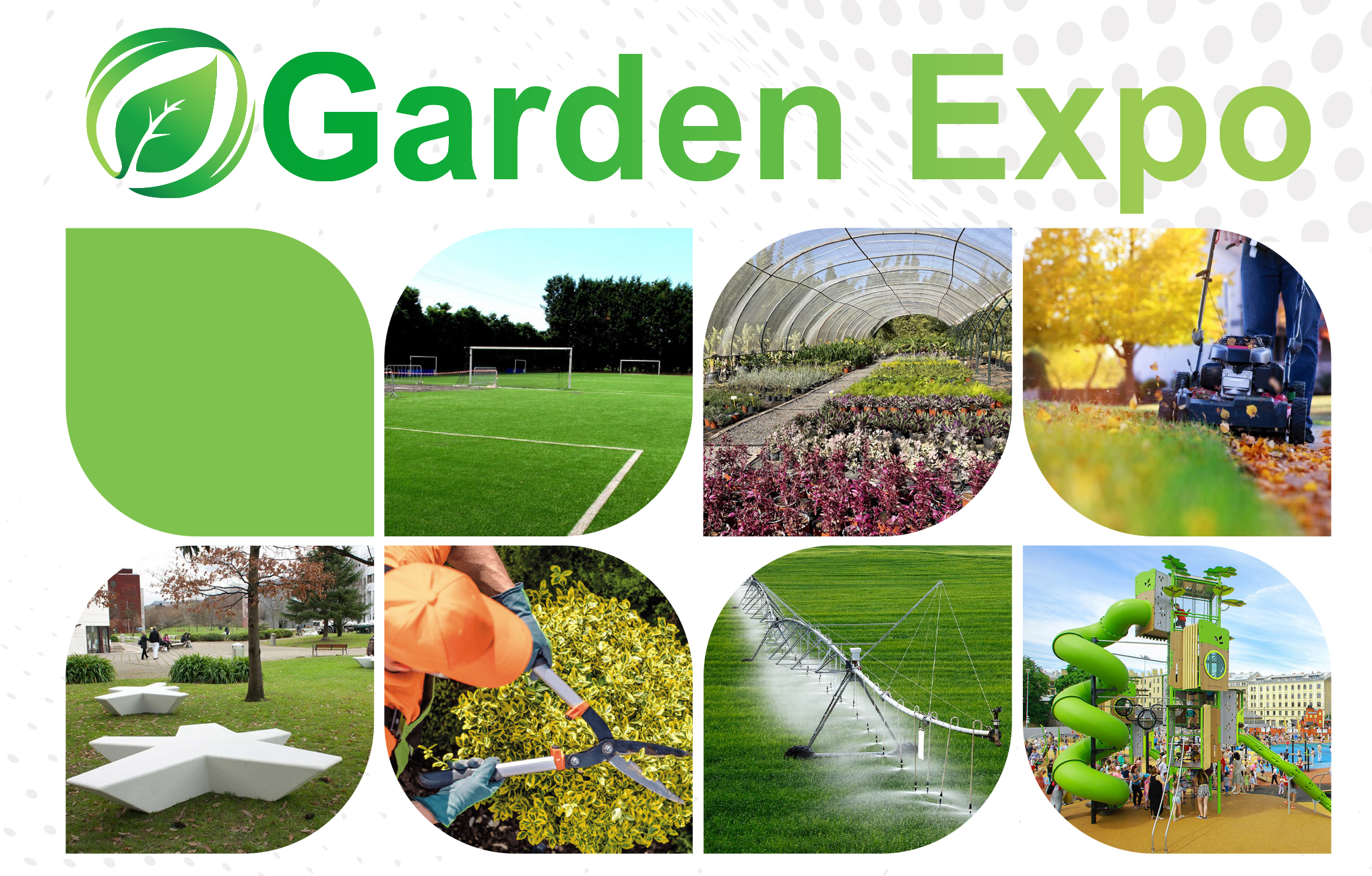 صورة المقالة